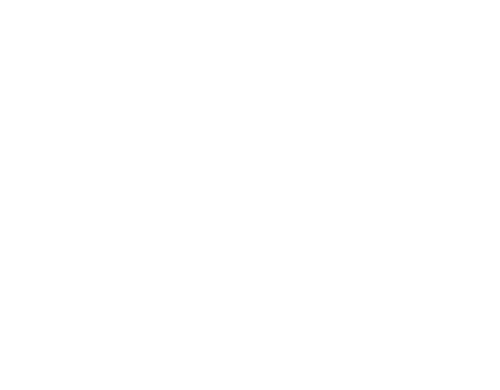Logotipo secudnario